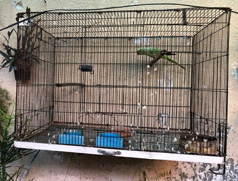 Folding cage and wooden cage for sale 2