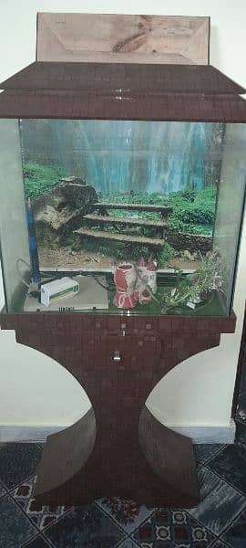 Fish Aquarium 2