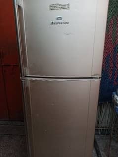 Dwalanc refrigerator in good condition all ok 0