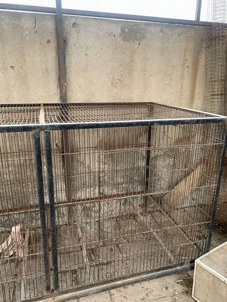 Birds Cage good condition 1