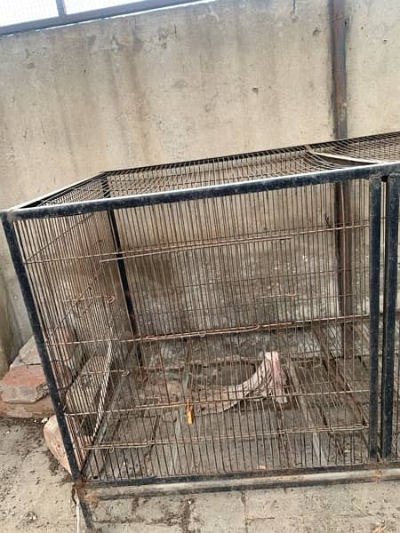 Birds Cage good condition 2