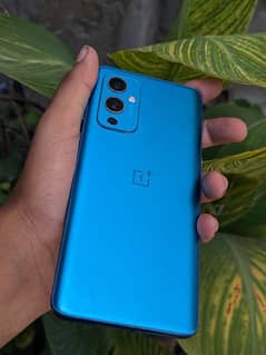 one plus 9 12/256 dual global 0