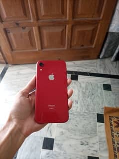 Iphone Xr non