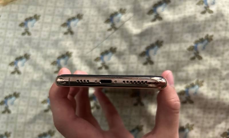 iPhone XS Max 2