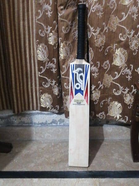 Hard ball Bat with new condition ek season khela h . . 2