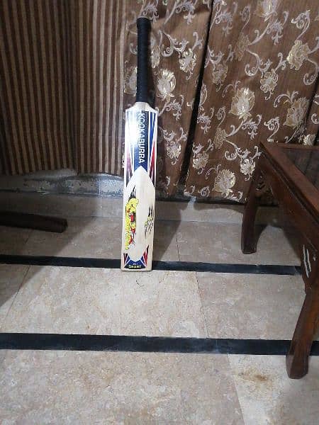 Hard ball Bat with new condition ek season khela h . . 3