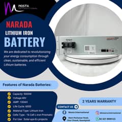 Lithium battery Narada