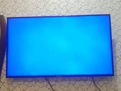 Ecostar 42" Led