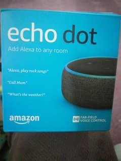 Echo