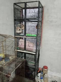 cage for sale