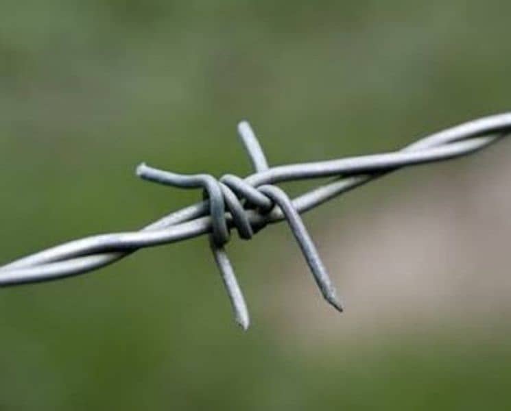 Home Security Concertina Barbed Wire Chainlink Fence Razor Wire 5