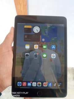 iPad