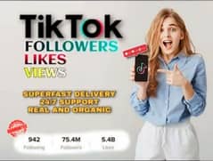 BUY TIKTOK FOLLOWERS|LIKES|VIEWS|COMMENT IN CHEAP PRICE