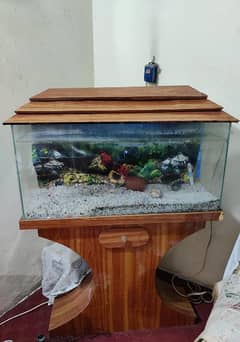 3 Feet Aquarium