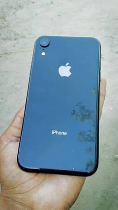 iPhone xr