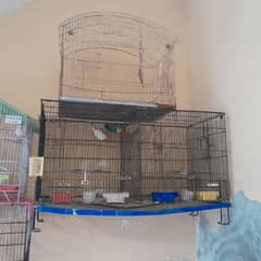 Cages for Sale