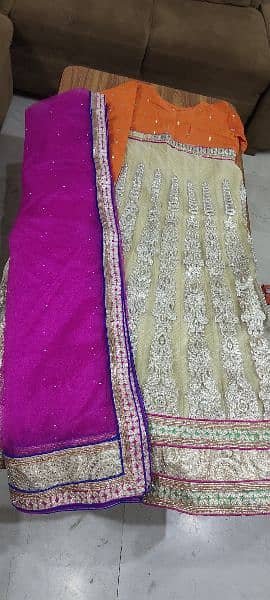 Indian Lehnga 2