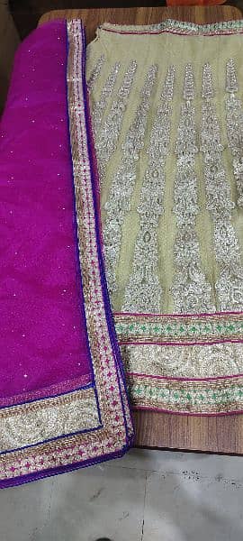 Indian Lehnga 3