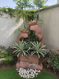 Rockery n Plants