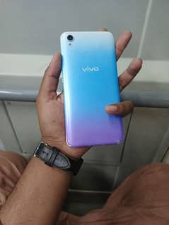 vivo