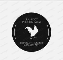 Rajput poultry Farm