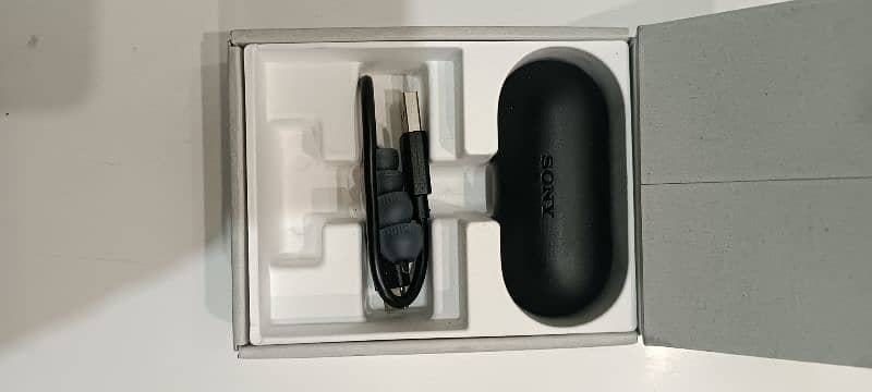 Sony Earbuds 3