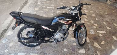 yahama yb 125z