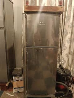 Hair refrigerator medium size