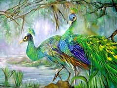 New peacock painting 0