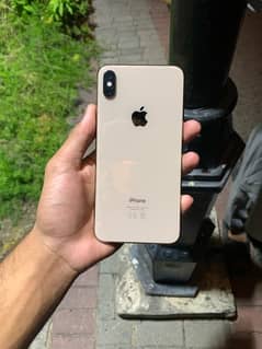 xs max non pta