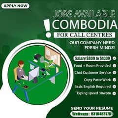 Chinese Company | Chat Customer service | Typing job