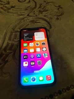 iPhone 12pro max panel change