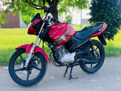 YBR-125