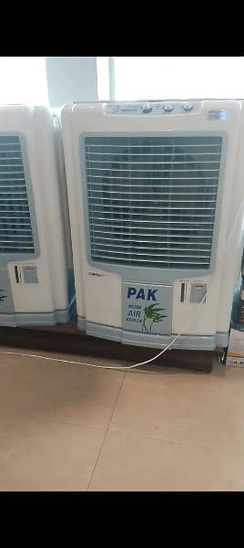 PAKFAN 1