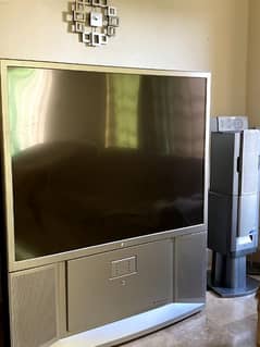 Sony TV with its sound system 0