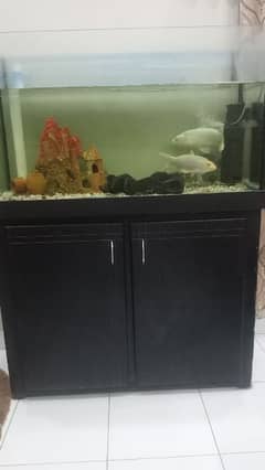 aquarium