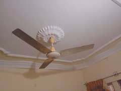 pak ceiling fan in good condition