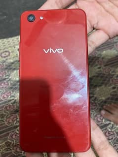 vivo