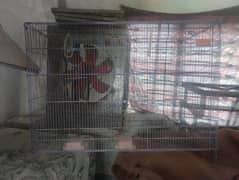 big size cage for sale