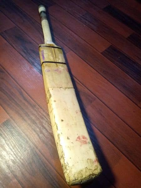 hard ball cricket bat Kashmir willow fullyknocked with halfcane handle 5