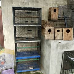 cages and box for sale