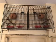 Love Birds 2 pairs . New Full Size Cage.