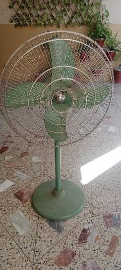 fan