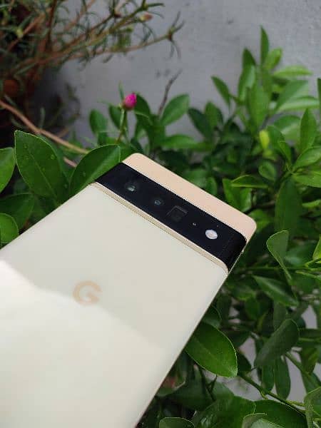 Pixel 6 Pro Gold Factory Unlocked Genuine 7 8 9 6