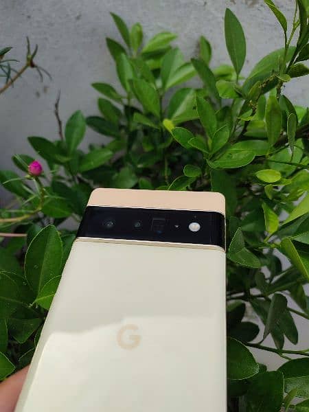 Pixel 6 Pro Gold Factory Unlocked Genuine 7 8 9 8