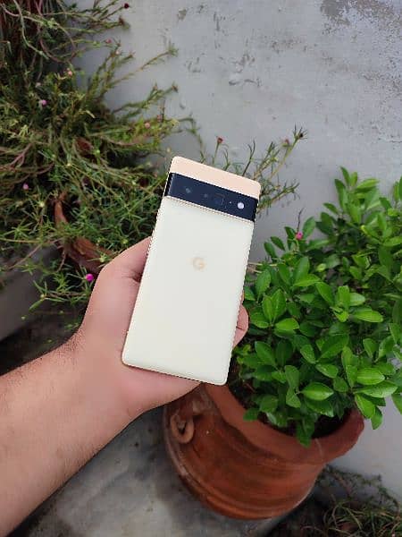 Pixel 6 Pro Gold Factory Unlocked Genuine 7 8 9 9