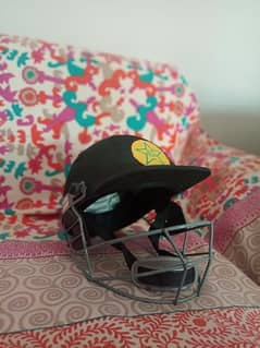 bating helmet for cricket