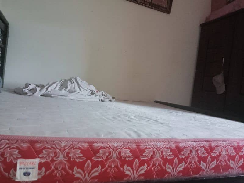 Spine care Cannon king Size Mattress 4