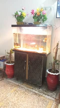 Fish Aquarium