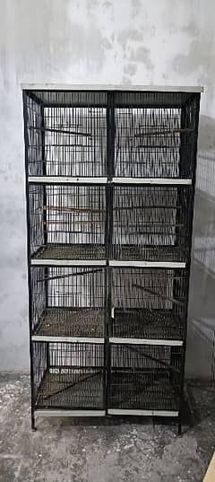 Birds cage